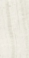 Trilogy Onyx Light 12x24 Lux Onyx Look Porcelain Tile