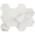 Tru Marmi Extra 12x24 Polished Porcelain Tile
