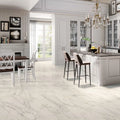 Tru Marmi Extra 24x48 Polished Porcelain Tile