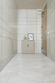 Tru Marmi Silver 24x48 Matte Porcelain Tile