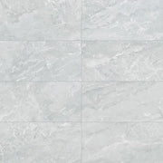 Tru Marmi Silver 12x24 Polished Porcelain Tile