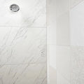 Tru Marmi Venatino 3x12 Surface Bullnose Polished Porcelain Trim