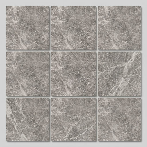 Tundra Gray Marble 12x12 Honed Tile close-up