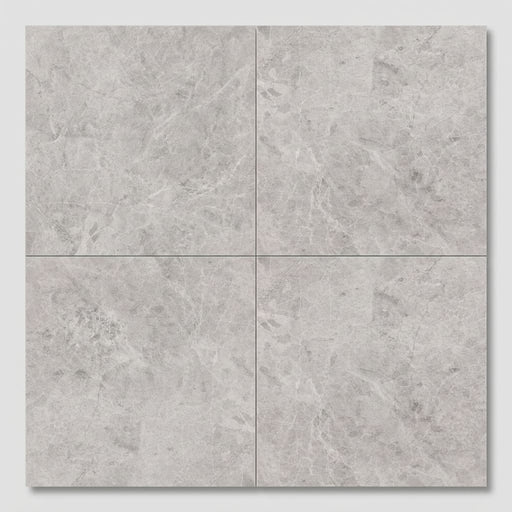 Tundra Gray Marble 18x18 Honed Tile close-up