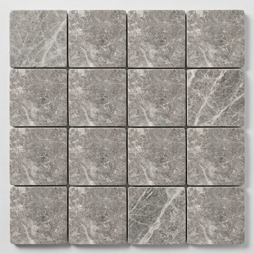 Tundra Gray Marble 4x4 Tumbled Tile close-up