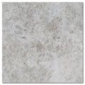 Tundra Grey 12x24 Honed Veined Marble Tile