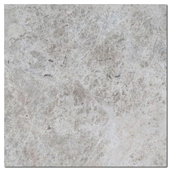 Tundra Grey 18x18 Polished Veined Marble Tile
