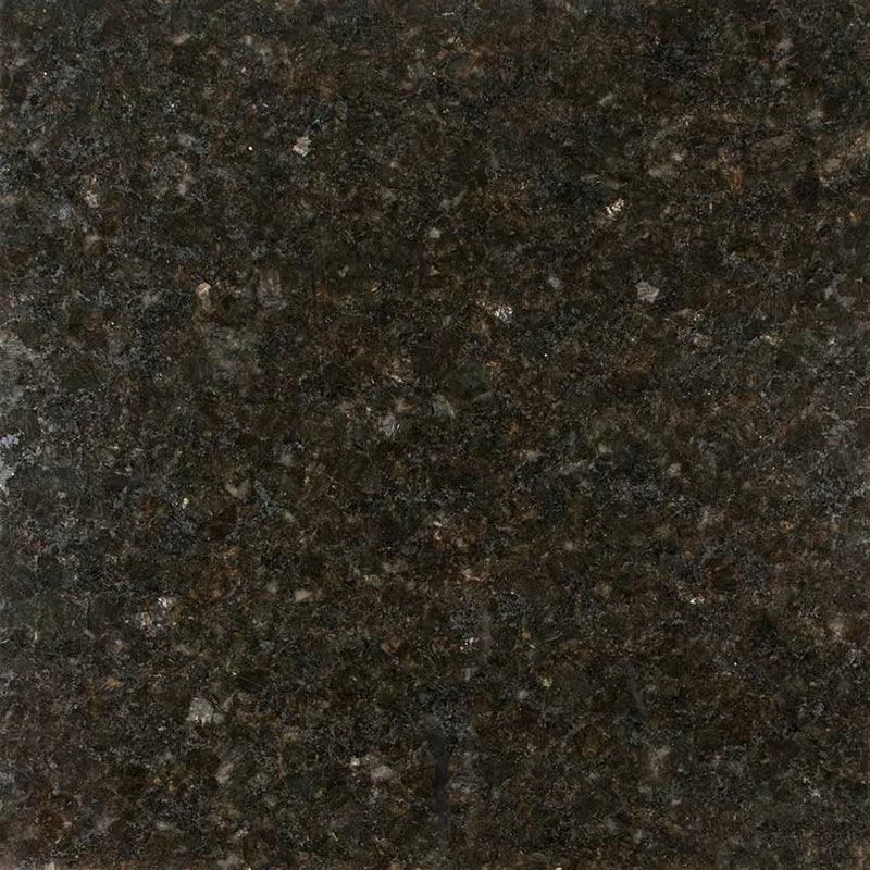 Ubatuba 12x12 Polished Granite Tile