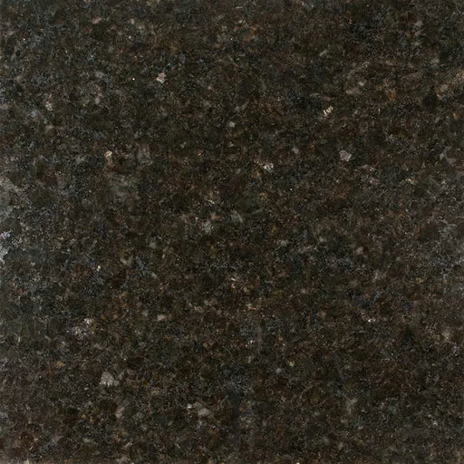 Ubatuba 12x12 Polished Granite Tile