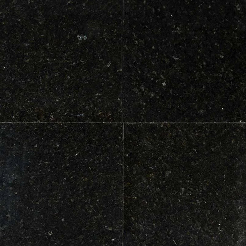 Ubatuba 12x12 Polished Granite Tile