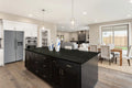 Ubatuba 12x12 Polished Granite Tile