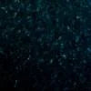 Ubatuba 2cm Polished Granite Slab