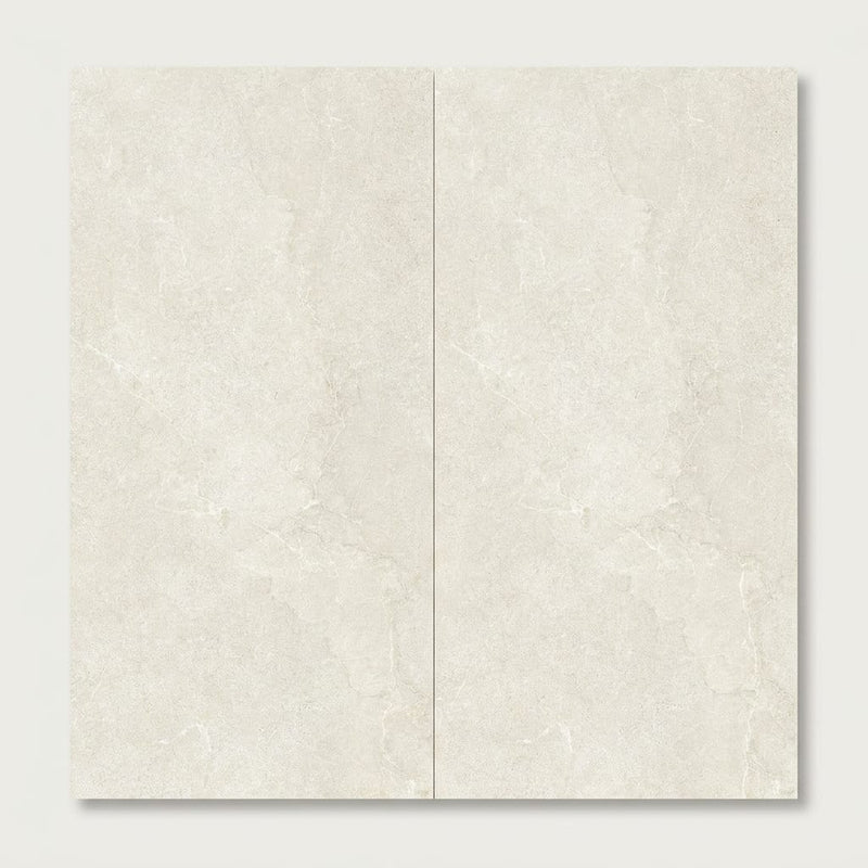 Unica Moon Matte 12x24 Porcelain Tile close-up