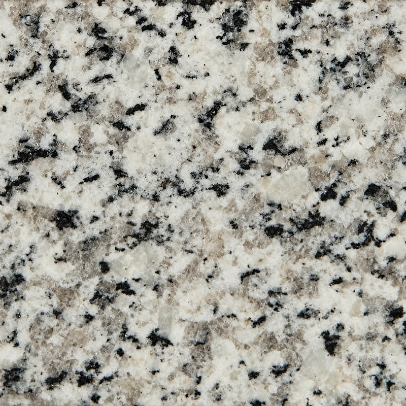 Valle Nevado polished granite with a light gray and cream base and scattered black mineral markings.