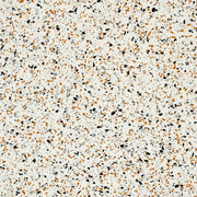 Vector 24x24 Polished Stone Agglomerate Marble Tile