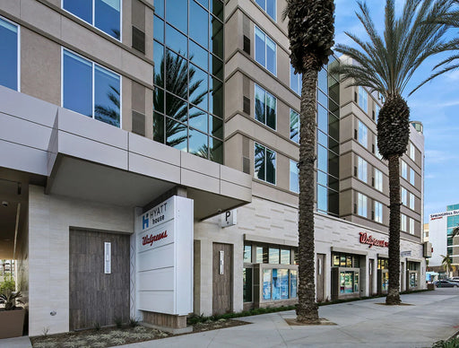 Veneto Noce 12x24 Matte Porcelain Tile