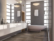 Veneto Noce 12x24 Polished Porcelain Tile