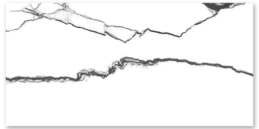 Vibrant Bianco 48x48 Polished Porcelain Floor and Wall Tile