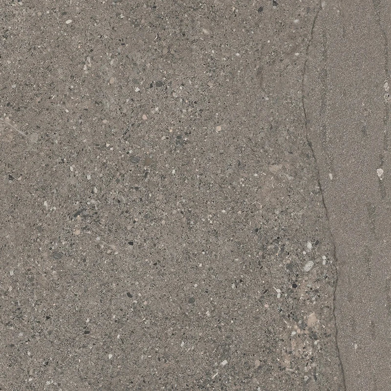 Victoria Turtledove 24x24 Matte Stone Look Porcelain Tile