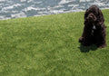 Viridian Green Full Roll 15ft x 100ft 45mm 91oz Artificial Turf