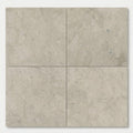 Volcanic Gray Limestone Tile 24x24 Polished 5/8 inch close-up