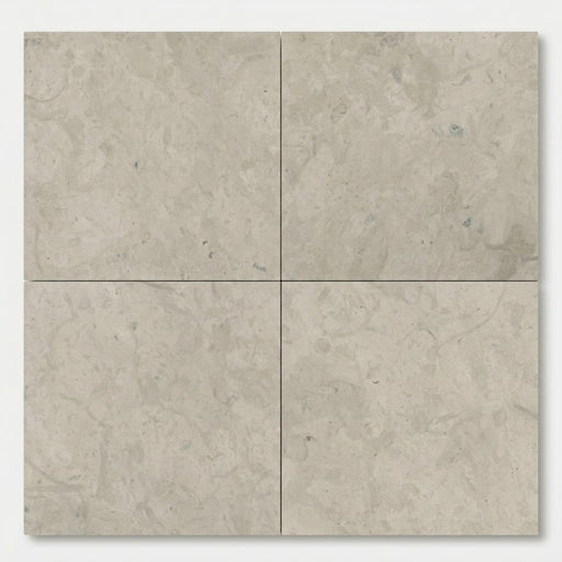 Volcanic Gray Limestone Tile 24x24 Polished 5/8 inch close-up