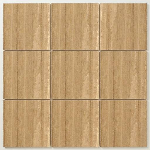 Volubilis Beige Natural Stone Tile 12x12 Honed 3/8 inch close-up