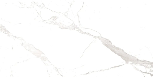 Alaska White 24x48 Polished Porcelain Tile