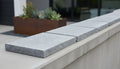 Close-up of Indian Bluestone Limestone Natural 12 x 24 x 2 Limestone Wall Cap Cap, in Indian Bluestone tones.