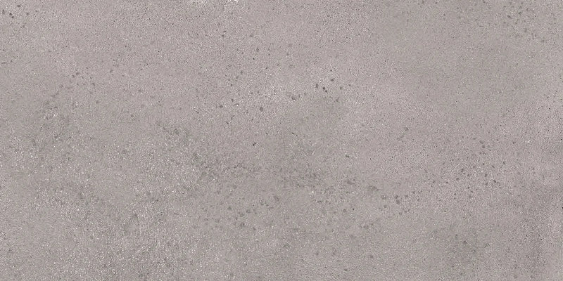 Baltic Granite MT 12x24 Color Body Porcelain Tile