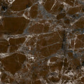 Absolute Brown Up 35x35 Glazed Porcelain Tile