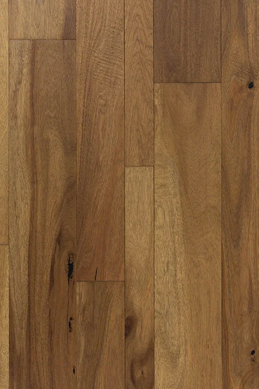 Westwind Dublin 3, 5, 7xRL (up to 48) 1.5mm Acacia Engineered Hardwood Flooring