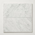 White Carrara 12x24 Honed Marble Tile close-up
