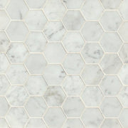 White Carrara 2 Hexagon Honed Marble Mosaic