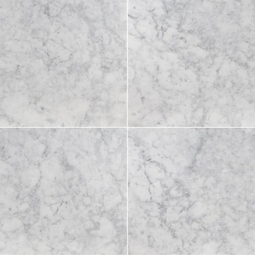Four White Carrara honed marble tiles with soft gray veining in a 2×2 layout.