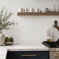 White Dolomite Herringbone 1x4 Honed Marble Mosaic — Kitchen backsplash