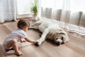 XL Prescott Whitfield Gray 9x60 Low Gloss LVT Plank