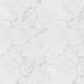 XL Trecento Carrara Avell 18x36 Low Gloss Luxury Vinyl Marble Look Tile