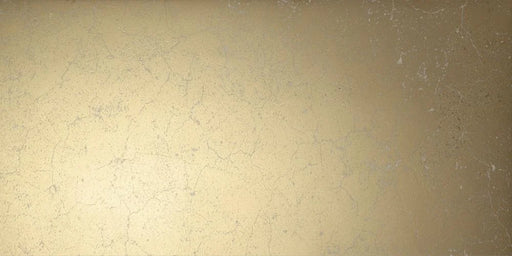 Zement Gold 23.6x47.2 Matte Porcelain Tile