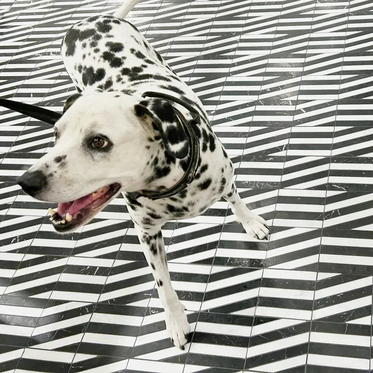 Zigzag Noir/Blanc Honed Marble Mosaic