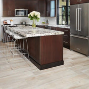 Aequa Nix Matte 8x32 Porcelain  Tile