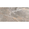 Alanya Grey Polished 24x48 Porcelain  Tile