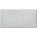 Alpine Natural 12x24 Porcelain  Coping
