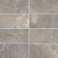Anthology Earth Matte 12x24 Porcelain  Tile