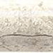 Arctic Gray Limestone Trim 1/2x12 Honed     Pencilrail