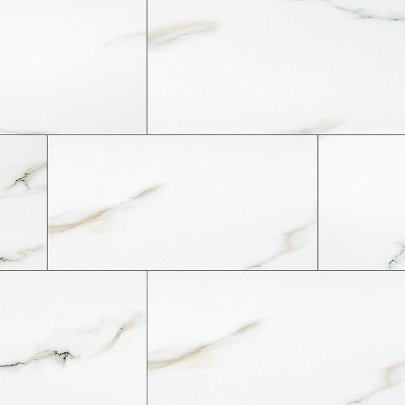 Aria Bianco Polished 24x48 Porcelain  Tile