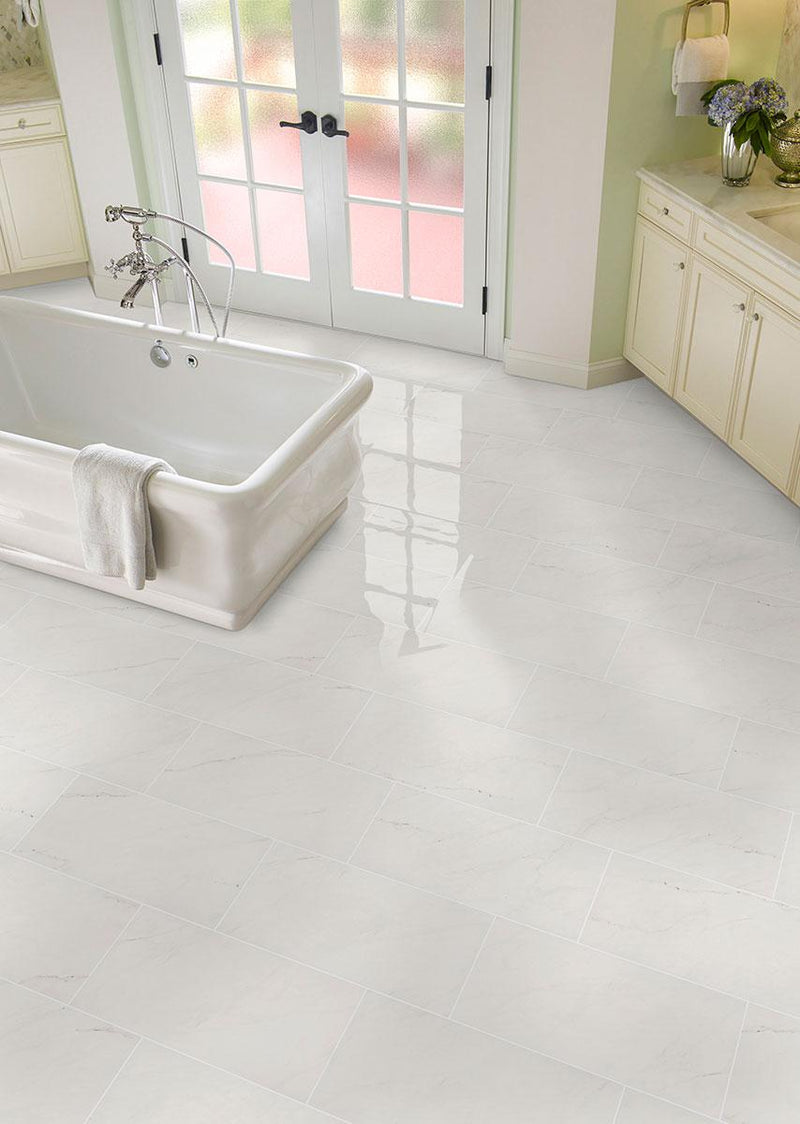 Aria Ice Polished 24x24 Porcelain  Tile
