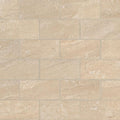 Aria Oro 2x4 Subway Polished Porcelain  Mosaic