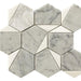 Arya Thassos White Carrara Hexagon Polished Marble  Mosaic