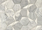Arya Thassos White Carrara Hexagon Polished Marble  Mosaic